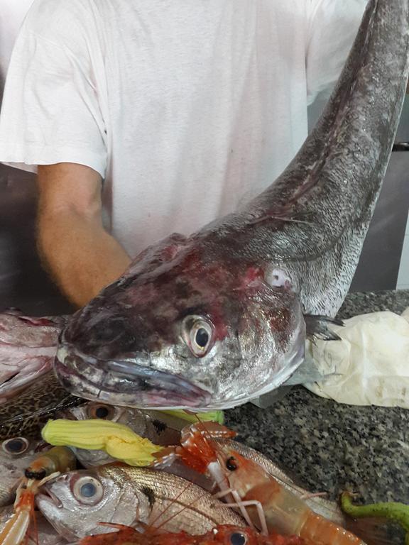 Affittacamere Sandomenico Marina di Camerota Exteriér fotografie